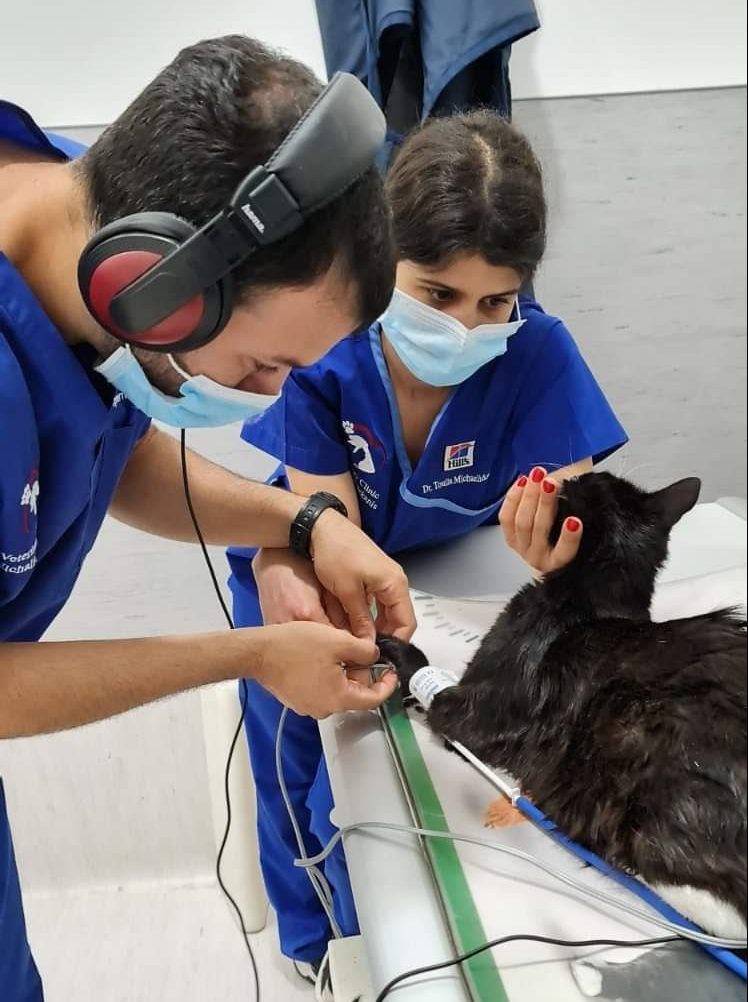 Dr. Michalis Pelekanis Veterinary Clinic