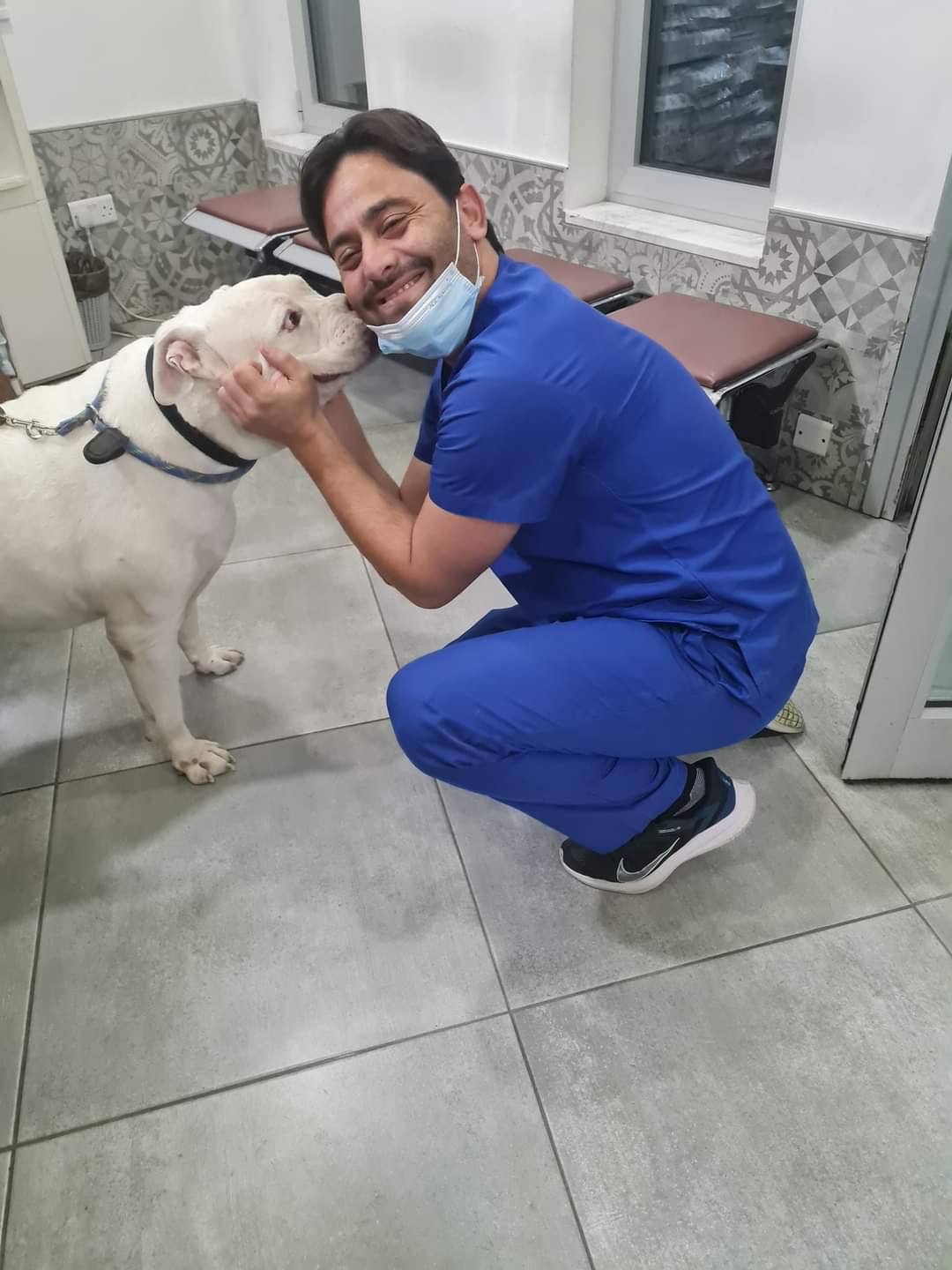 Dr. Michalis Pelekanis Veterinary Clinic